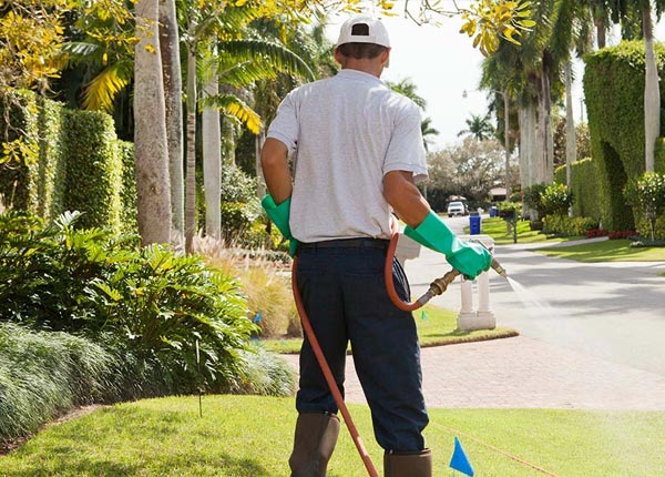 About Brownville Junction ME Pest Control Pros